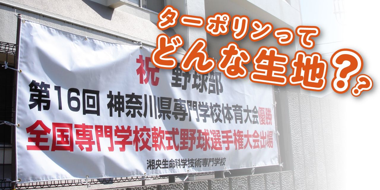 ターポリンとは｜その特徴や種類、お勧めシーンを徹底解説