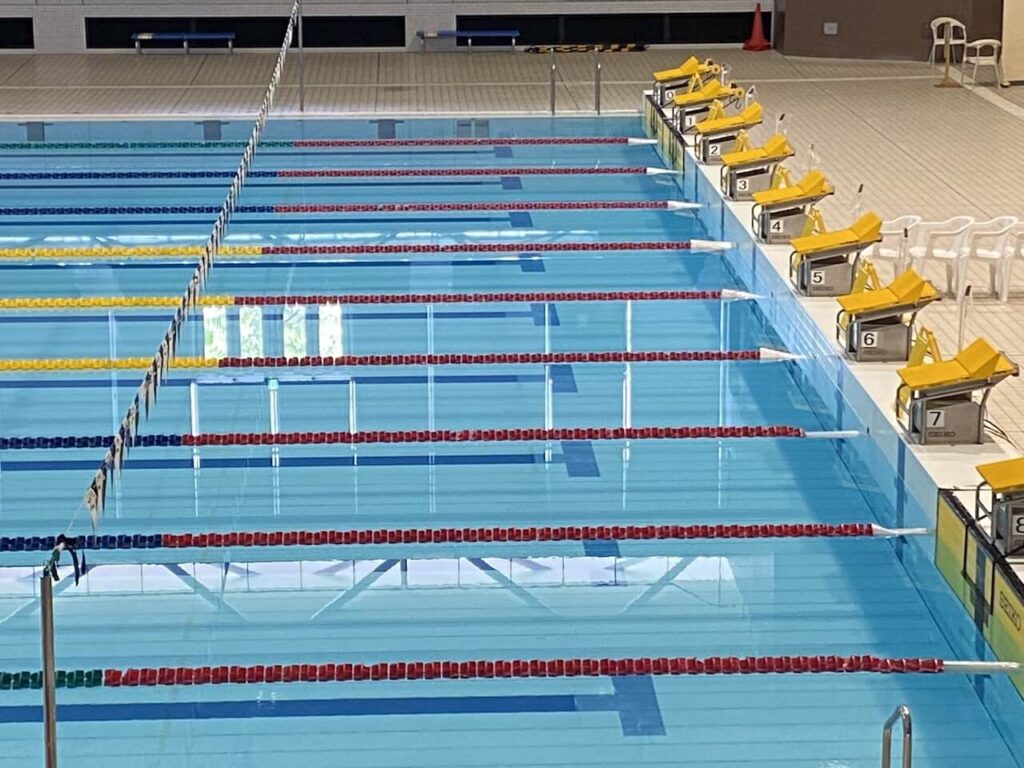 水泳のプール
