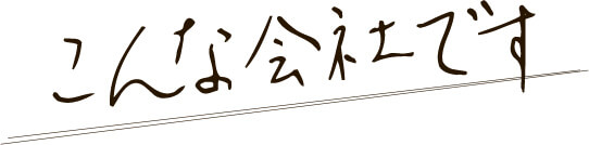 こんな会社です